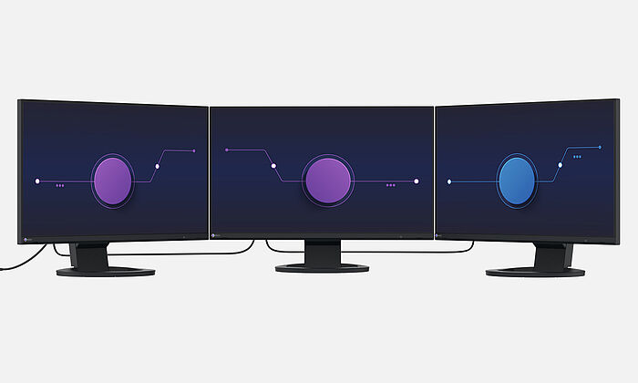 Monitor EIZO FlexScan EV2495-BK [czarny]