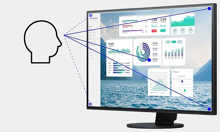 Monitor EIZO FlexScan EV2495-BK [czarny]