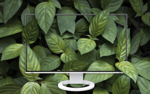 Monitor EIZO FlexScan EV2781