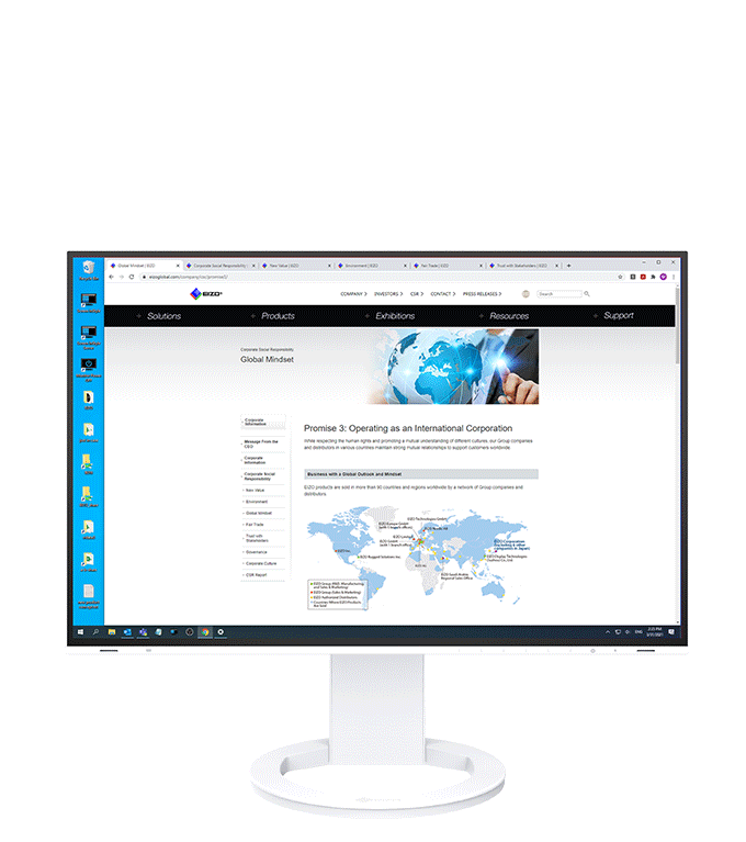 Monitor EIZO FlexScan EV2781