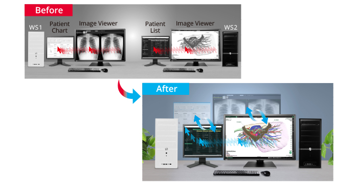Monitor medyczny EIZO RadiForce RX670