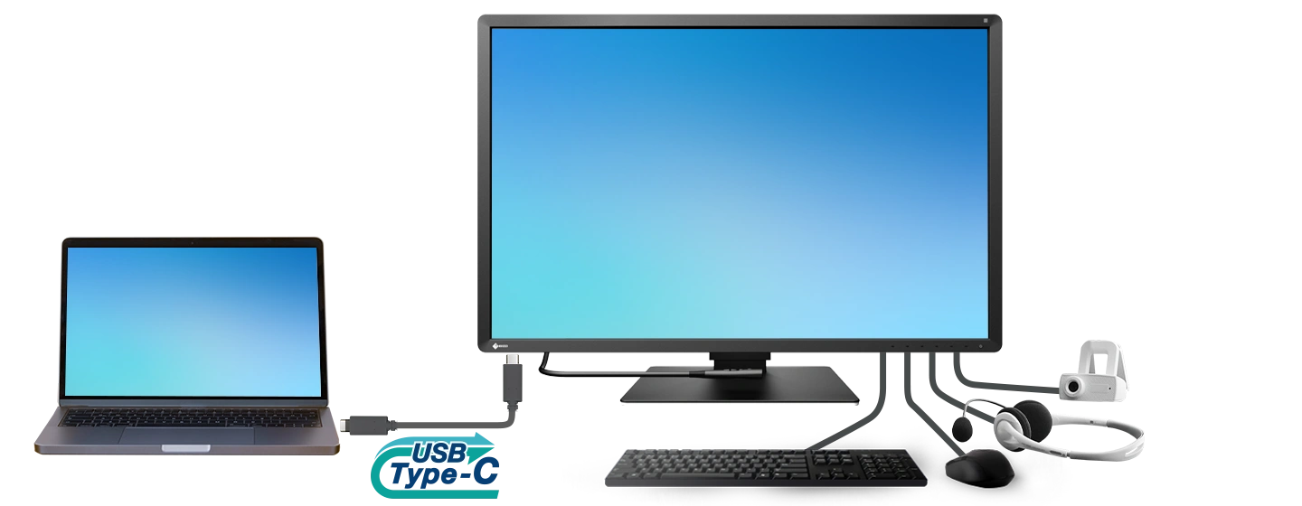 Monitor medyczny EIZO RadiForce RX670