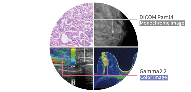 Monitor medyczny JVC CL-S1200