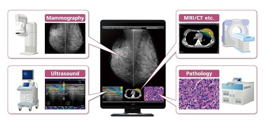 Monitor medyczny JVC CL-S500