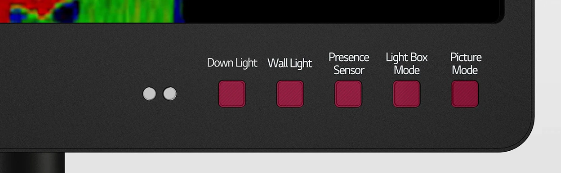Monitor medyczny LG 21HQ513D-B