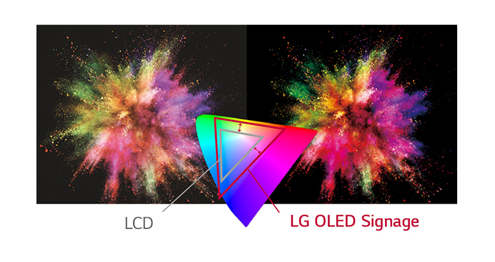 Monitor LG OLED WallPaper 55EJ5K
