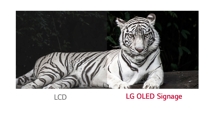 Monitor LG OLED WallPaper 55EJ5K