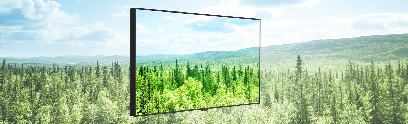 Monitor LG 65UH5N-M