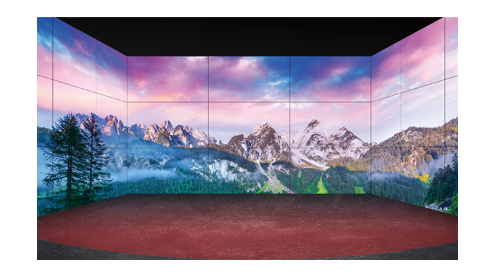 Monitor LG 55VSM5J-H