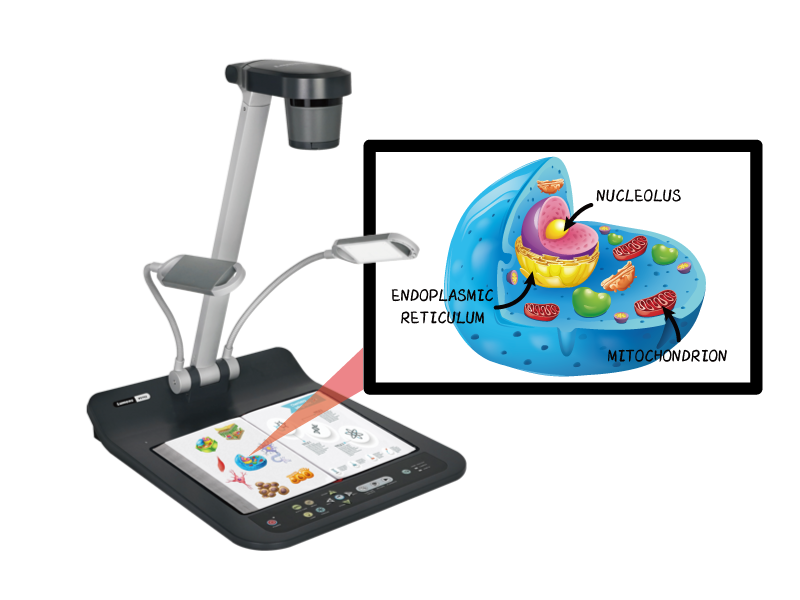 Wizualizer Lumens PS753