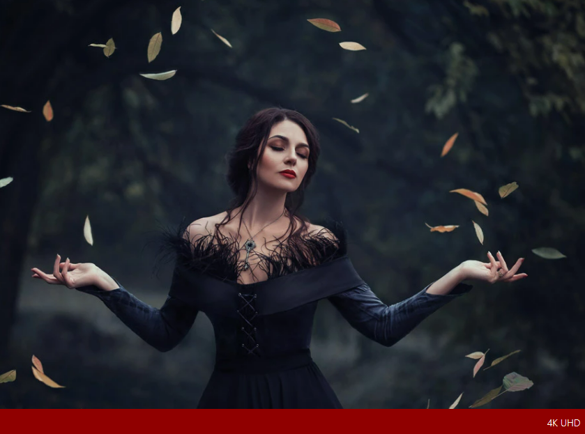  Projektor ViewSonic X1000-4K