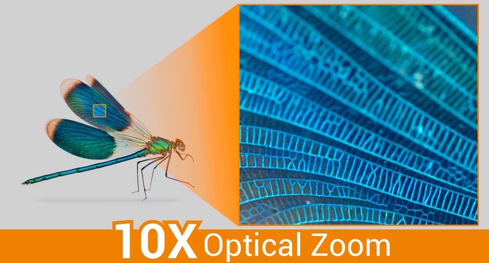 Wizualizer AVer F50+ 