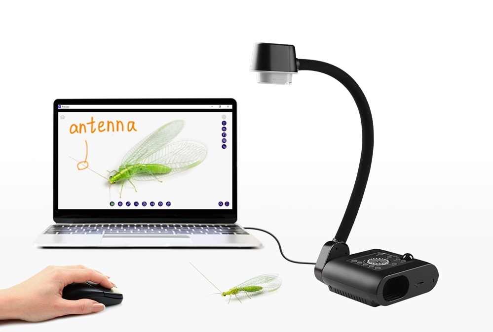 Wizualizer AVer F50+ 