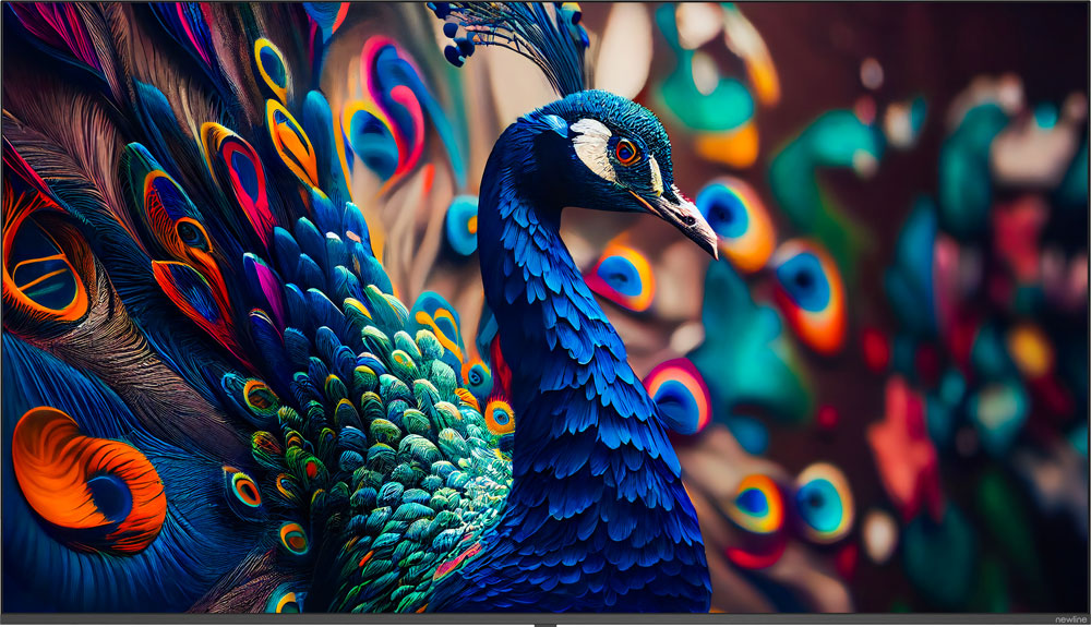 Monitor wielkoformatowy Newline STV-5524+