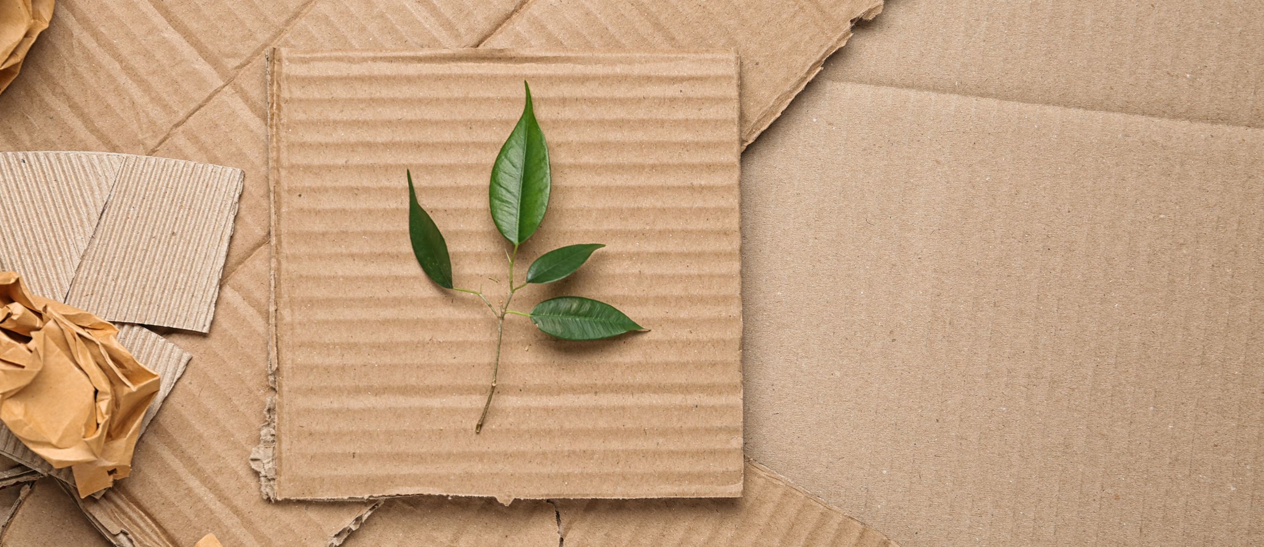 Projektor Optoma ZK1000 