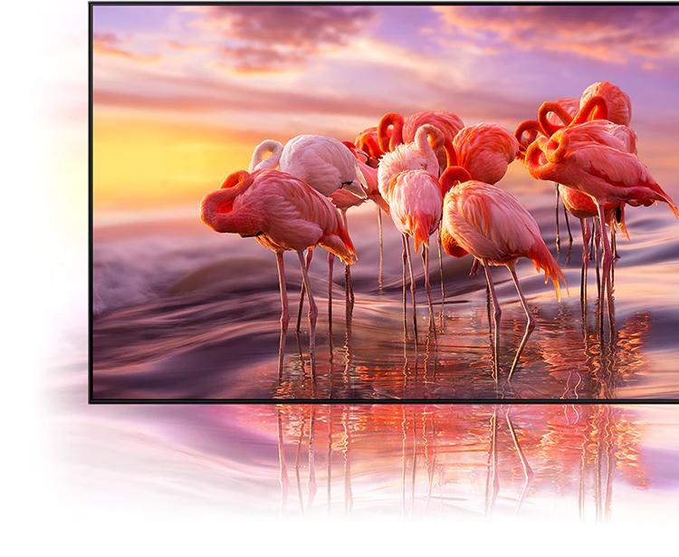 Monitor samsung QP65A-8K